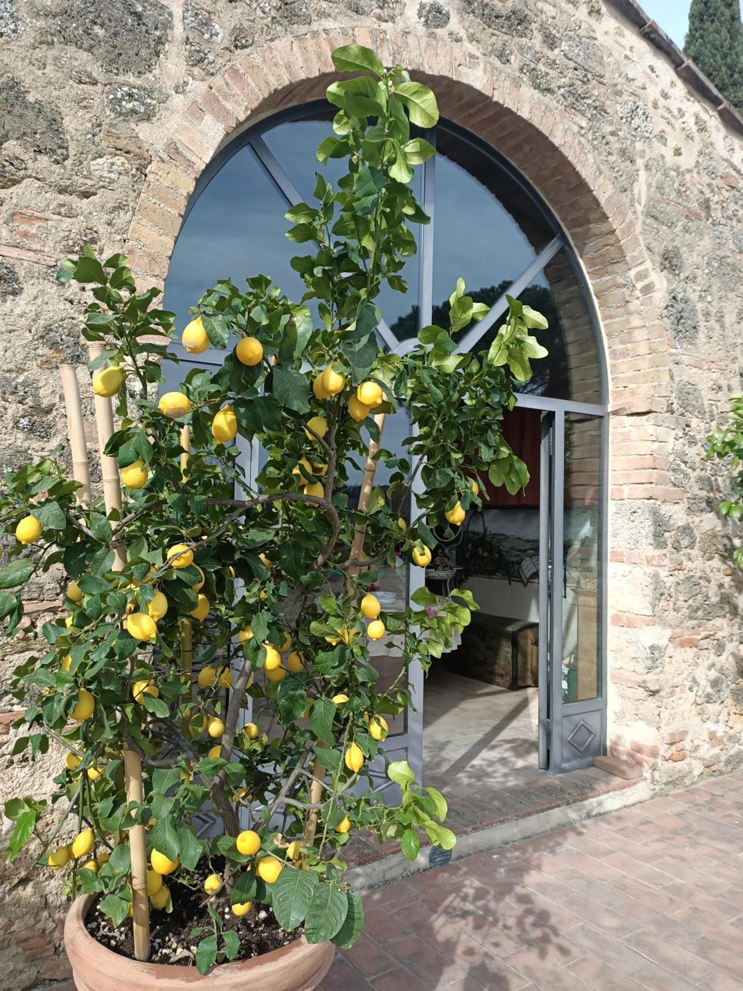 Relais Antico Borgo San Lorenzo Poggibonsi Esterno foto